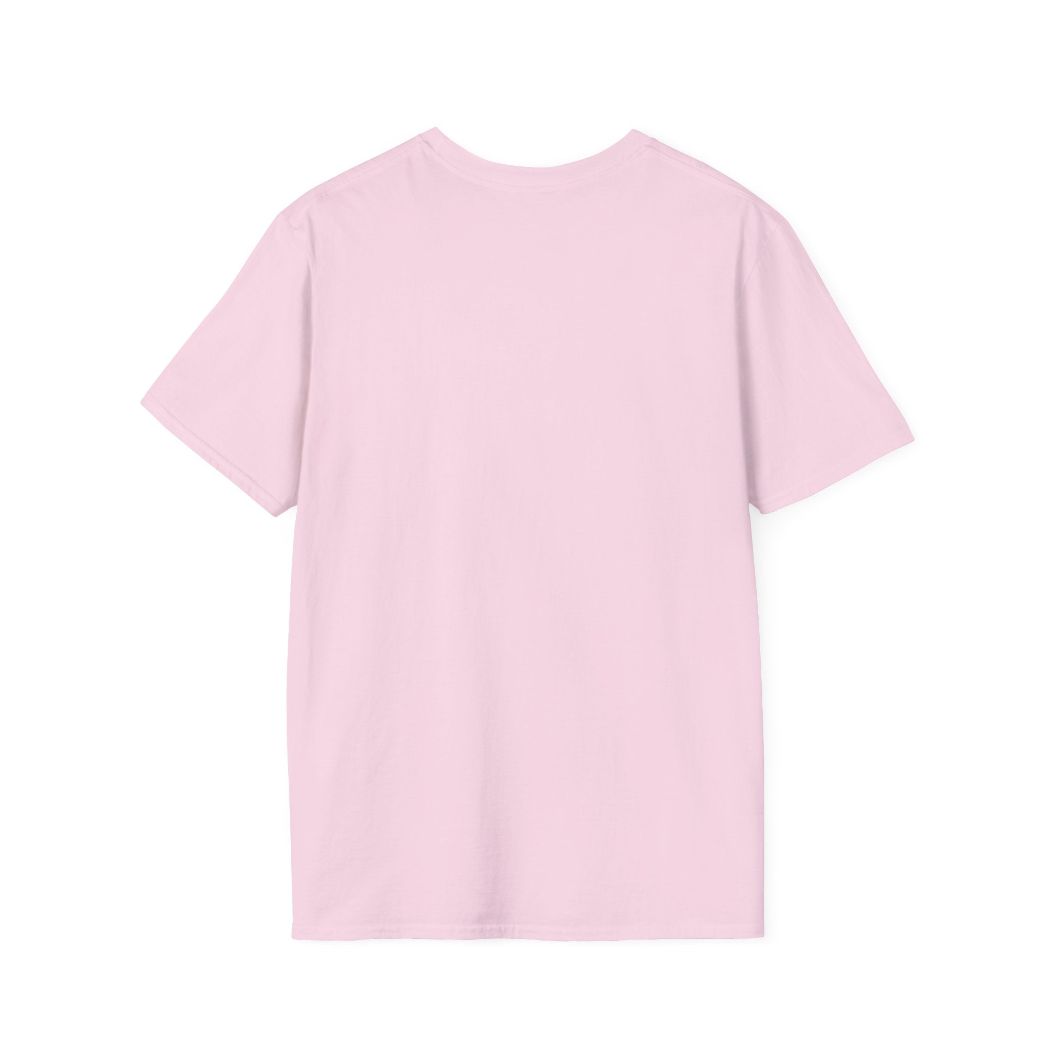 Bad Bitches Come In All Shades And Sizes T-Shirt — Empowering Diverse Women Graphic Tee
