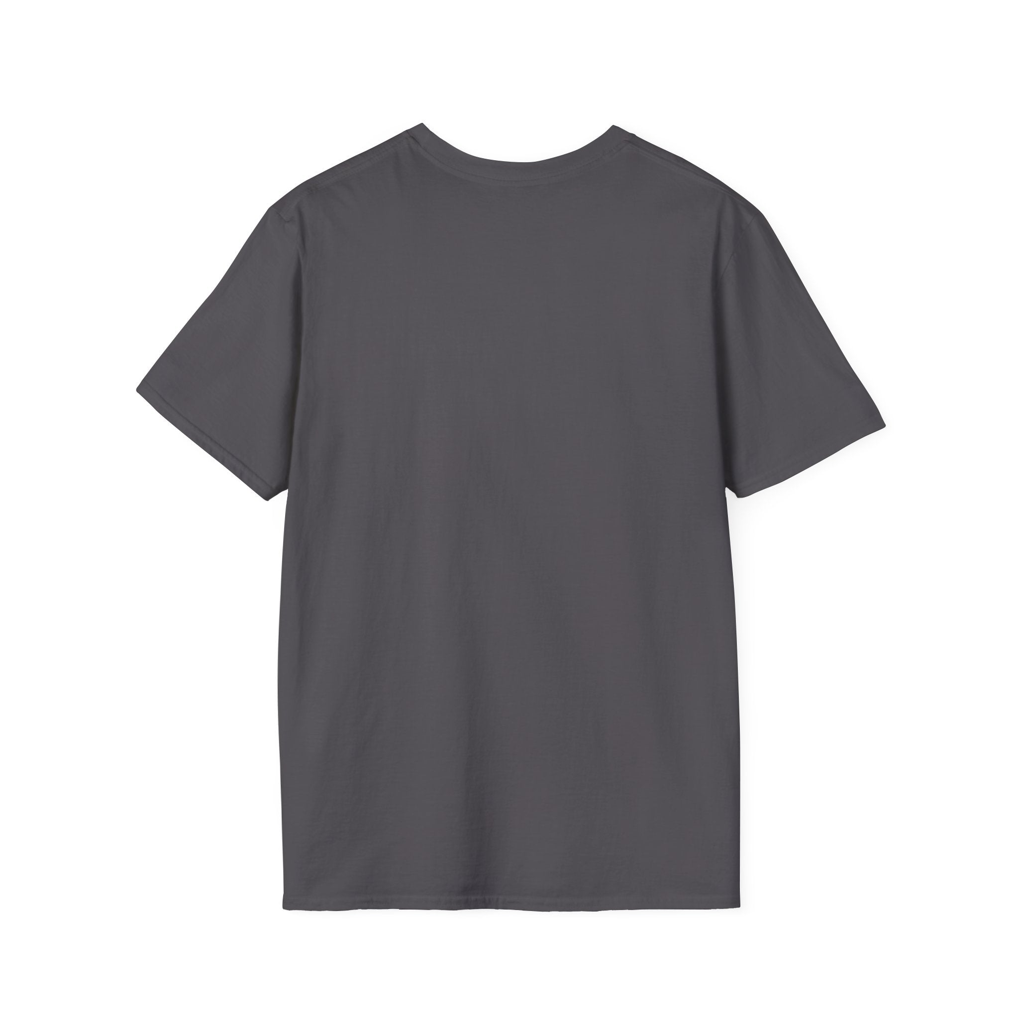 Bad Bitches Come In All Shades And Sizes T-Shirt — Empowering Diverse Women Graphic Tee
