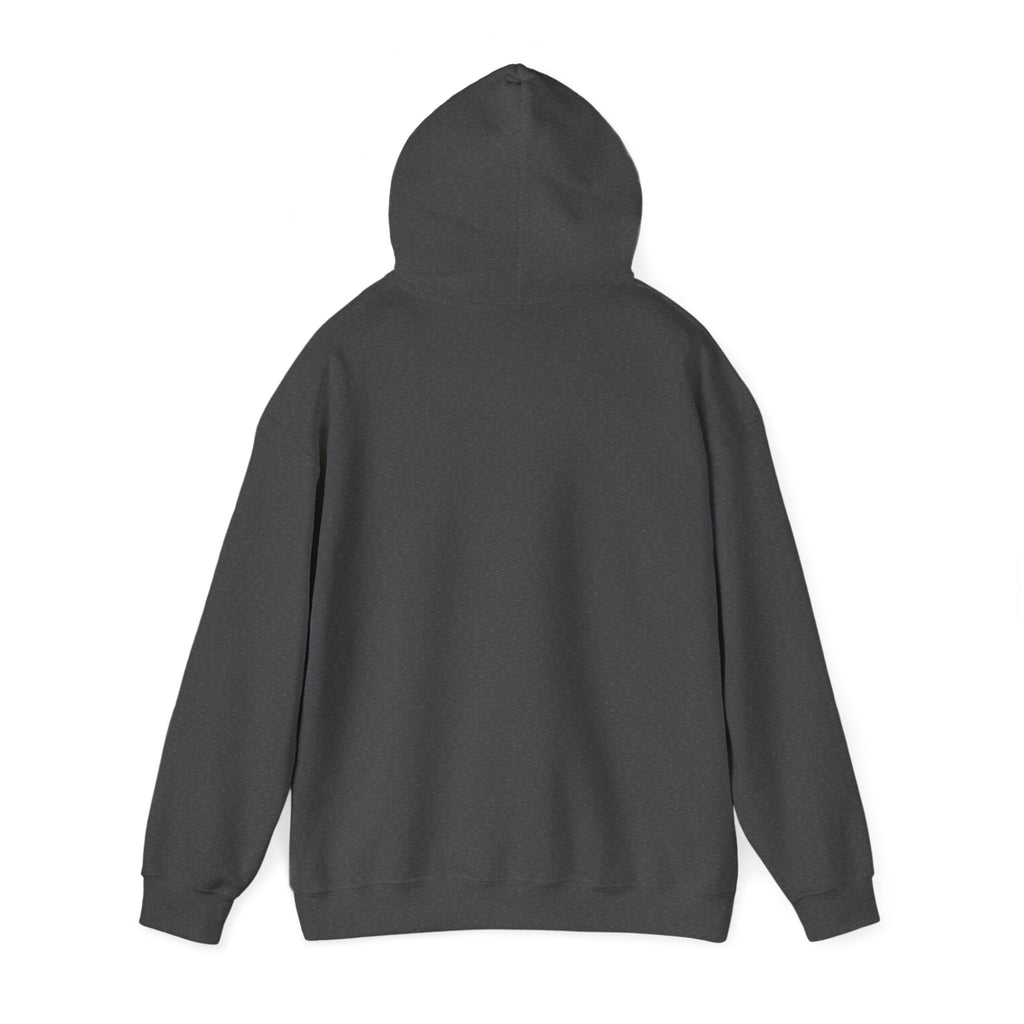 Hoodie — “I Match Energy” Script Graphic Hoodie