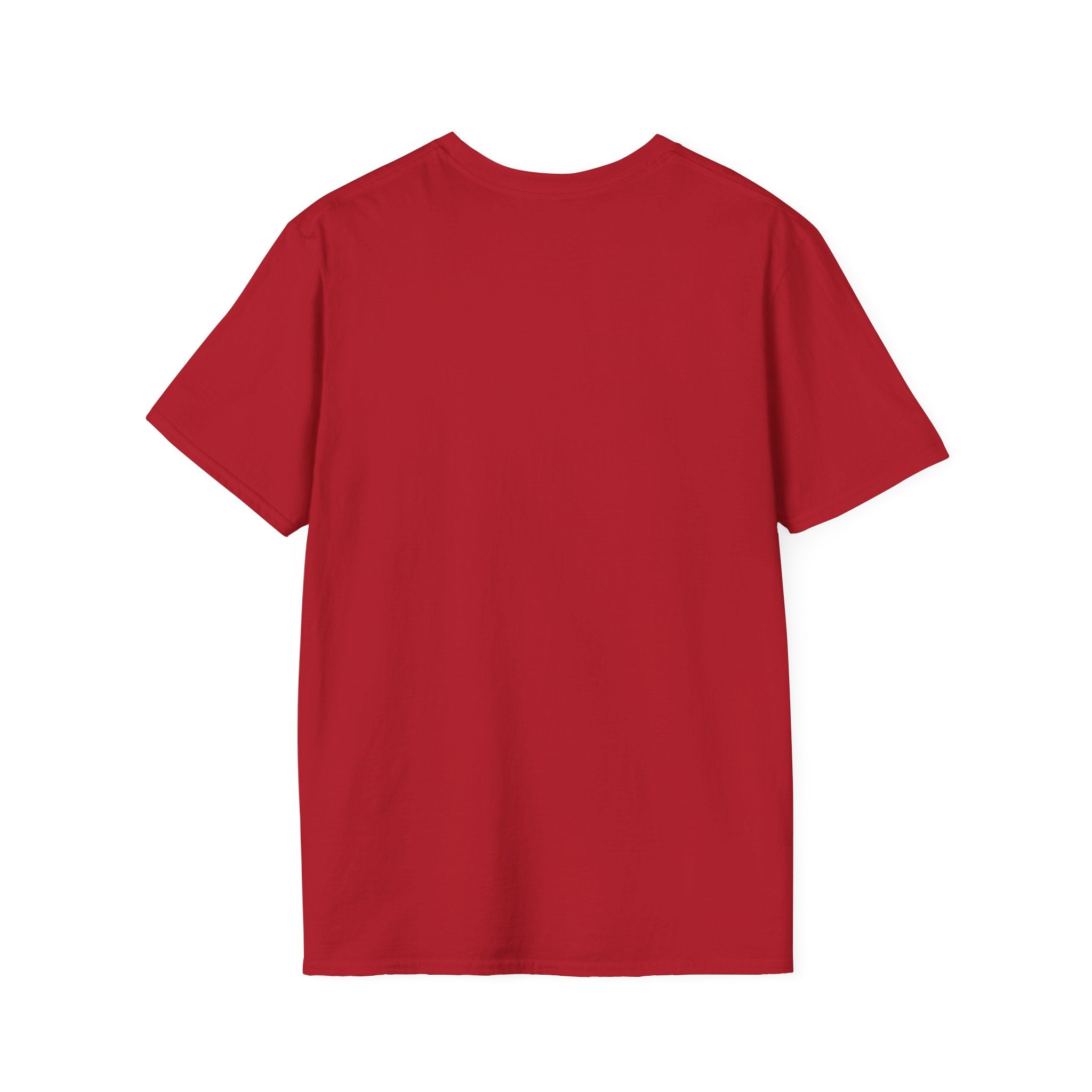 Bad Bitches Come In All Shades And Sizes T-Shirt — Empowering Diverse Women Graphic Tee